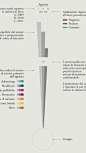 International communications group in Italy – 2012 on Behance