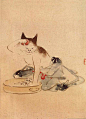 歌川广重-《猫的浮世绘》