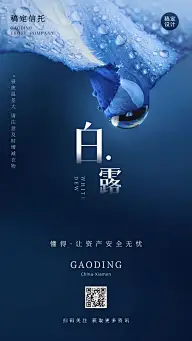 白露节金融保险节日营销文艺海报