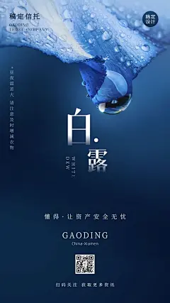 白露节金融保险节日营销文艺海报