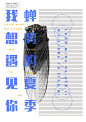 -蝉鸣的夏季我想遇见你