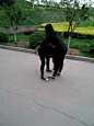 900x600_9RL2MSBJ43UD0031.gif (240×320)