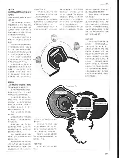 P_页面_246