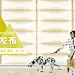  品牌团硬广-500