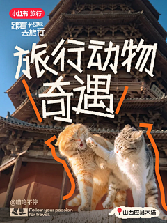 阿敏讷采集到系列稿