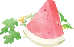 梦幻风格水彩插画贴纸-西瓜