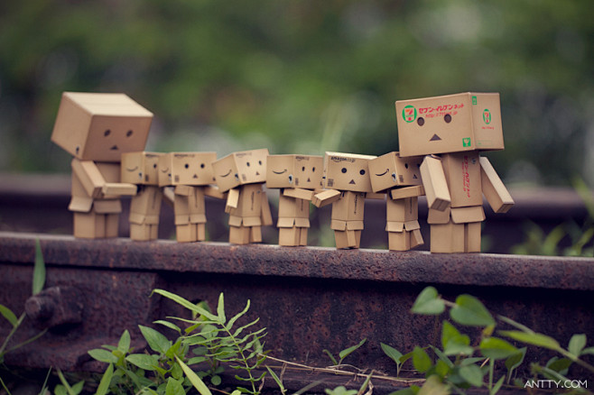 danboard纸箱人阿楞