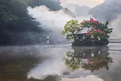 中国书画诗词院的照片 - 微相册