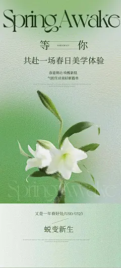 立春海报｜春天绿色简约背景素材朋友圈_4_发光小设计（约稿中）_来自小红书网页版