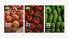 Ali_89757采集到品牌整套包装视觉