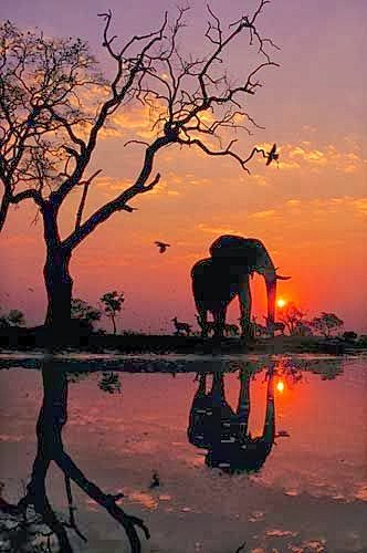 20 Amazing Reflectio...