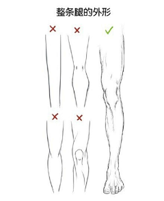 燕剪孑行采集到【绘画基础】人体理论
