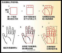 ▲路人”甲、采集到教程