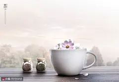 波斯秋菊白瓷茶具自然风景品茗饮料海报 海报招贴 酒水海报