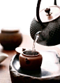冬茶