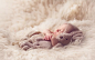 GORGEOUS newborn photo by Meg Bitton.: 