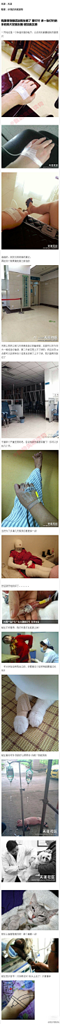 【我跟领导撒谎说我生病了 要打针 求一张打针的手的照片发朋友圈 增加真实感 】一开始这是一个和谐友爱的帖子，众多网友解囊相助贡献照片，但渐渐的，楼里就出现了一些奇怪的东西。。。。 天涯真是个温暖的地方果断马克以备不时之需