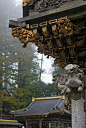 采