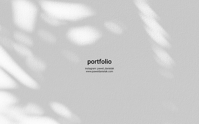 portfolio / cv