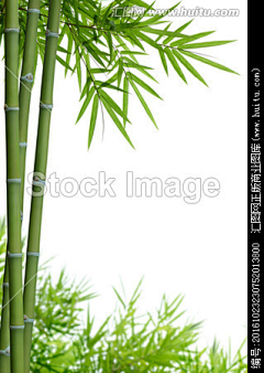 ·小忧伤~采集到哈西辣妈