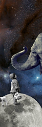 #elephant #collage: 