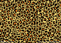 32229180_003445620000_2