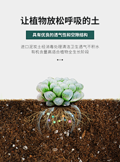 昵称取半天采集到1
