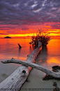 Sunset Borneo, Sabah, Malaysia