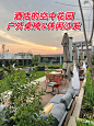 酒店的空中花园，户外家具用了快一年了 - 小红书