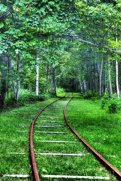 Forest Rails, Hokkai...