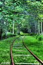 Forest Rails, Hokkaido, Japan