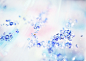 20080425_037c4e7ae29f16efc8betplinjc7QAhs.jpg (2950×2094)