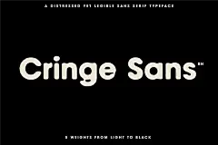 The Diverse Font Bundle 18种LOGO徽标网页设计印刷包装平面海报设计无衬线字体套装