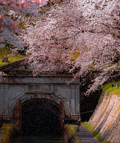 홍동운采集到风景（摄影）