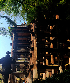 上海勃朗酒店设计公司采集到上海勃朗设计游学京都清水寺  