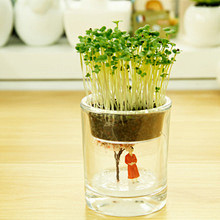 厂家直销 微观世界苔藓微景观生态瓶创意办...