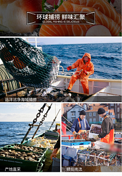 小河酱采集到海鲜