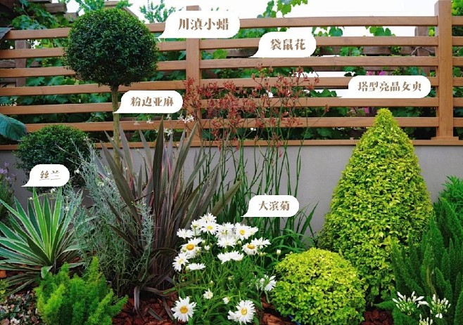 植物配置实景 (132)