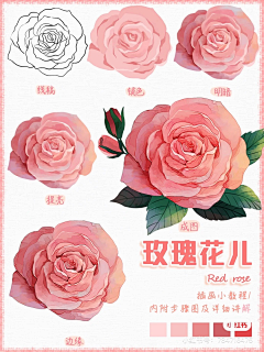 Z_东方米采集到材质