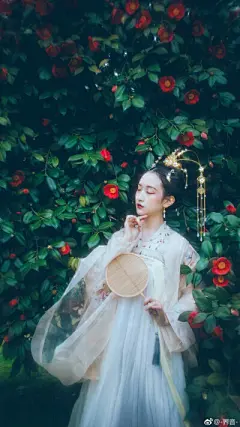 西洲美人 - 堆糖，美图壁纸兴趣社区