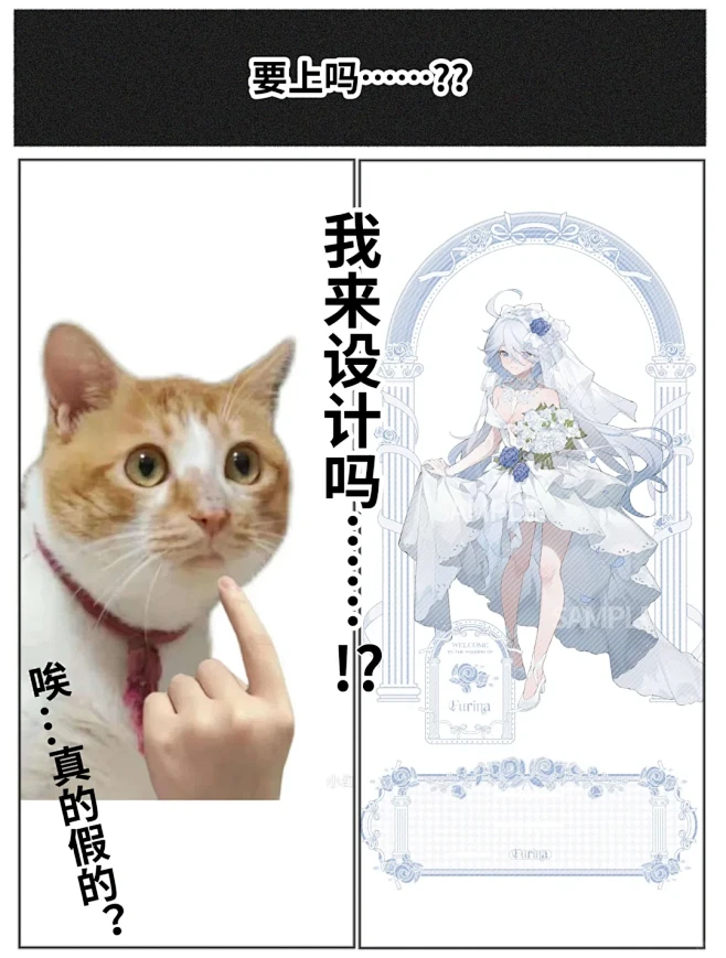 我来设计吗…！？真的假的？ - 小红书-花瓣网