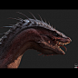 DRAGON, Soufiane Idrassi : personal work

sculpted in zbrush
textured in zbrush and substance painter
rendered in marmoset toolbag 3