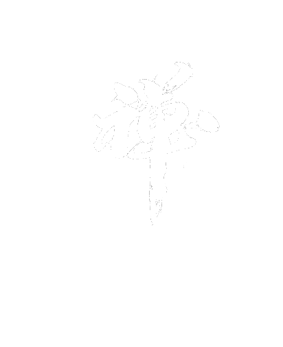 禅-01