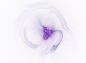 c46a60bf-0ab2-4556-8cec-037c68564e22
