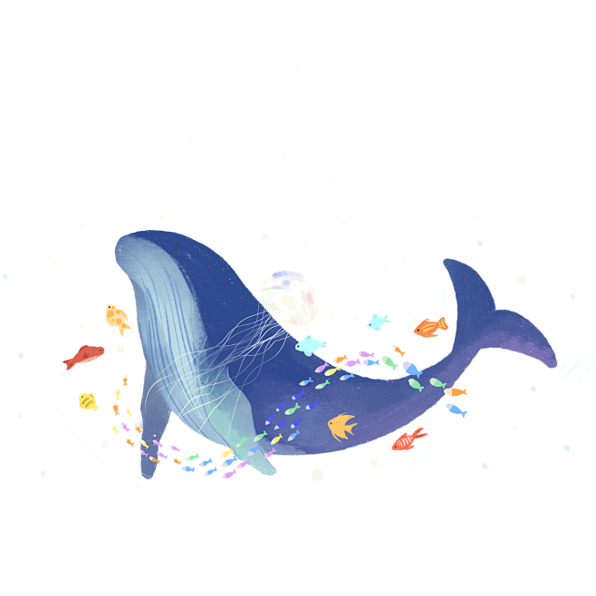 鲸鱼 (1)