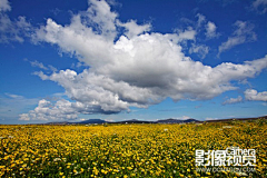 冰之峰采集到风景