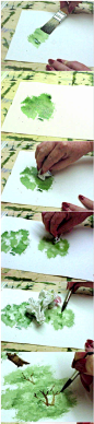 水彩画树示范教程…_来自亲爱的sammi的图片分享-堆糖