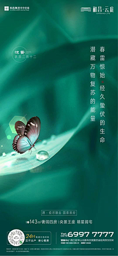 蒋奶奶YYDS采集到1-节日节气海报