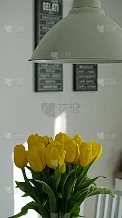 新鲜的花束黄色郁金香在室内装饰元素。厨房桌子上方的金属吊灯。斯堪的纳维亚风格的厨房或客厅的内部。