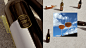 animation  branding  Classic contemporary contest ILLUSTRATION  Photography  vintage wine